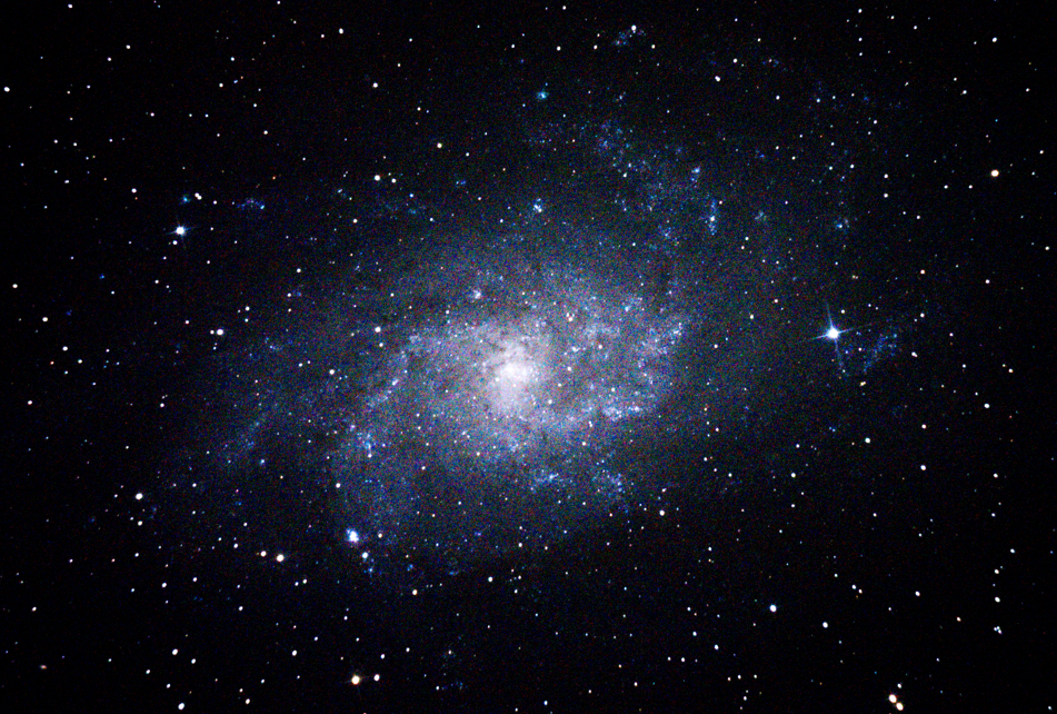 M33